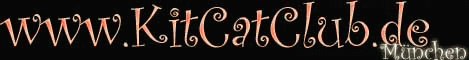Kitty Cat Club Mnchen - Dresscode nur Rubber, Leather, Latex, TV, Uniform oder Gothic.